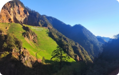 �������Ρ���̬�޸�����ַ��Ρ� ��Ȼ�۲�����ҵ