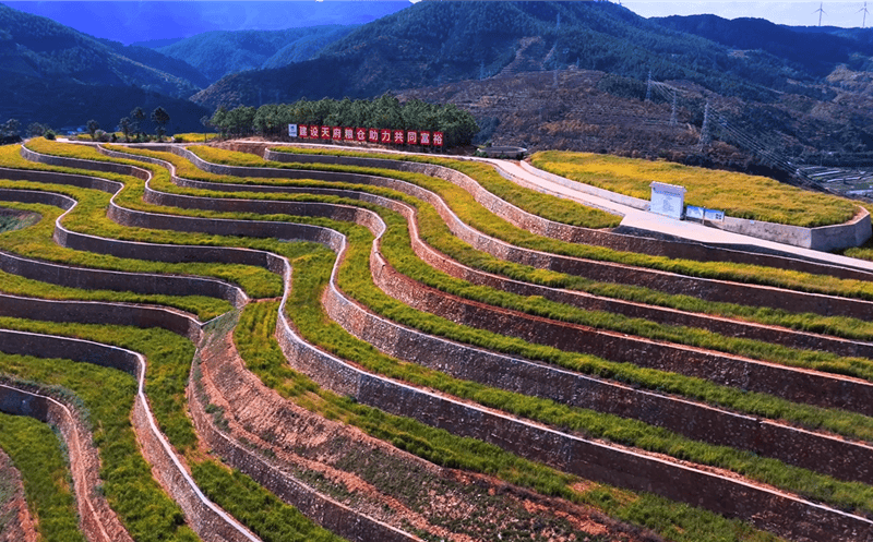 ������������� �����֡��ȷ��¹���