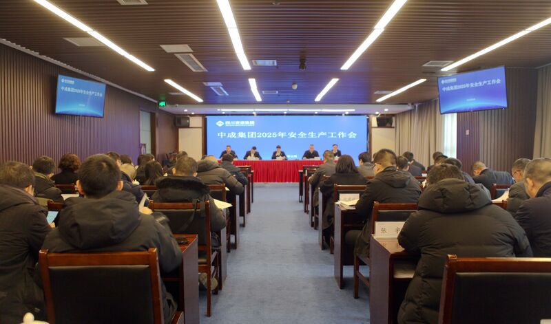 �гɼ����ٿ�2025�������������鼯��