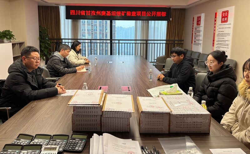 �鶨ս�����Ż�Ч�͡�����תЧ�͹�˾�в�ҵ���������