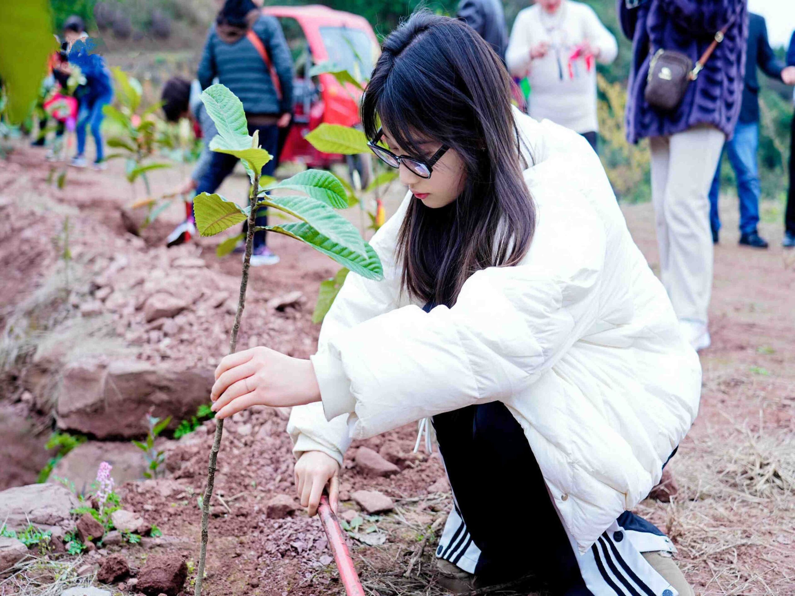 µØÏ¿ռäÔºÖ²Ê÷Ô˶¯7 µØÏ¿ռäÔºÖ²Ê÷Ô˶¯7