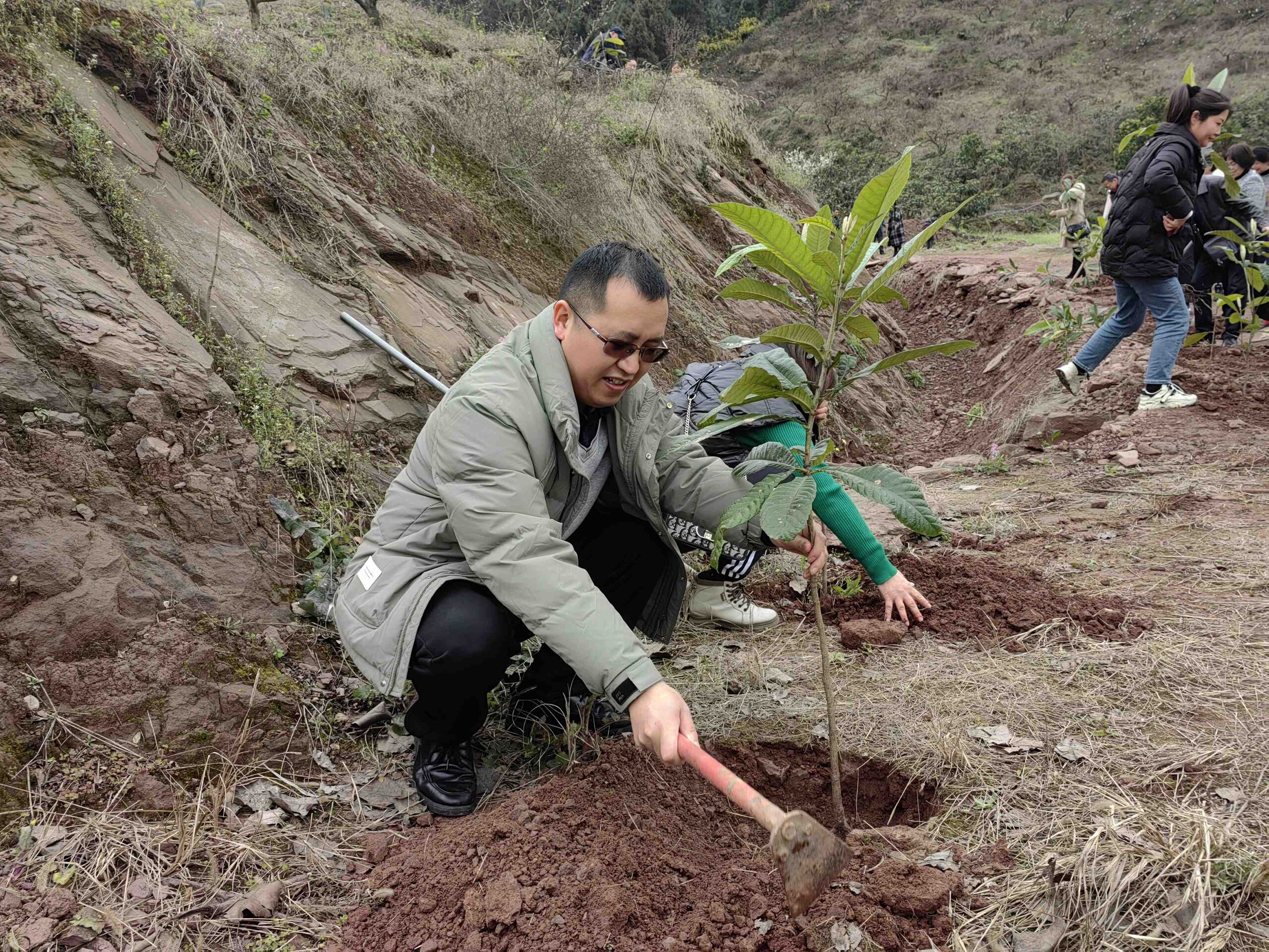 µØÏ¿ռäÔºÖ²Ê÷Ô˶¯3 µØÏ¿ռäÔºÖ²Ê÷Ô˶¯3