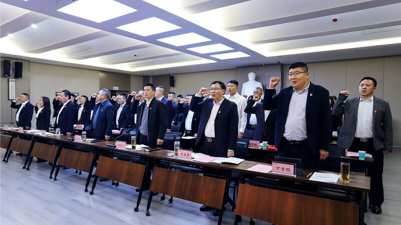 ������˾�ٿ�2025�굳���ߵ�����������ͷ����������