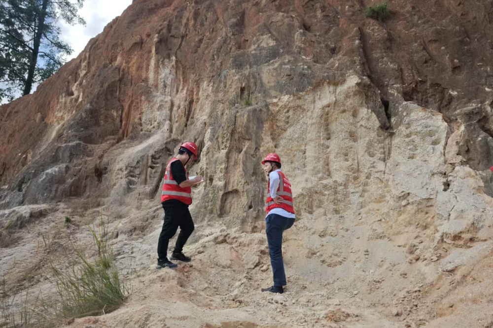 ����������ϡ���ֳ��Ӳ�