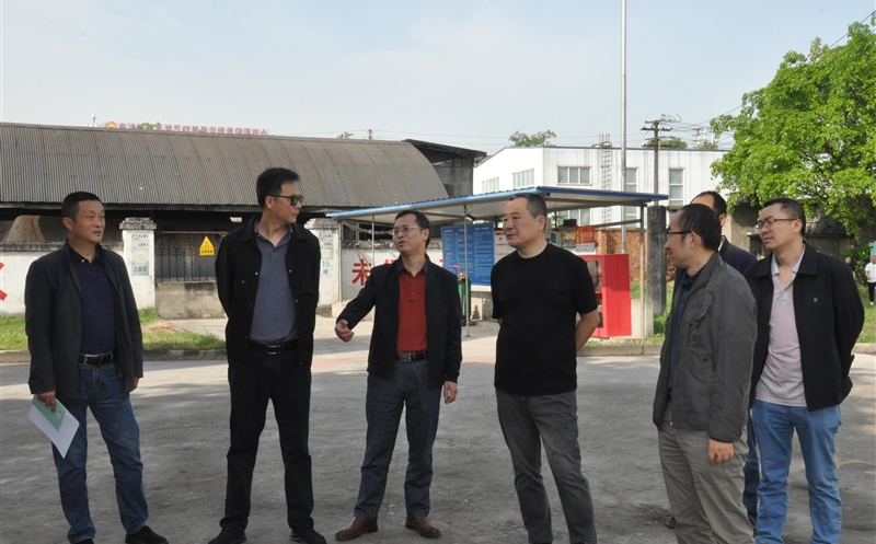 ̩������ҩ��չ����һ����ǰ��������������