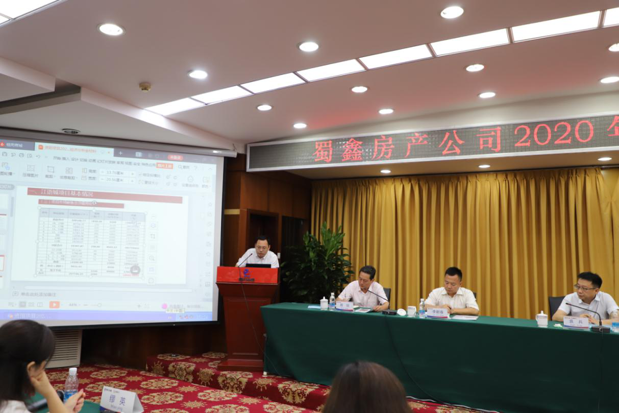 ���ι�˾�ٿ�2020�꾭��������������