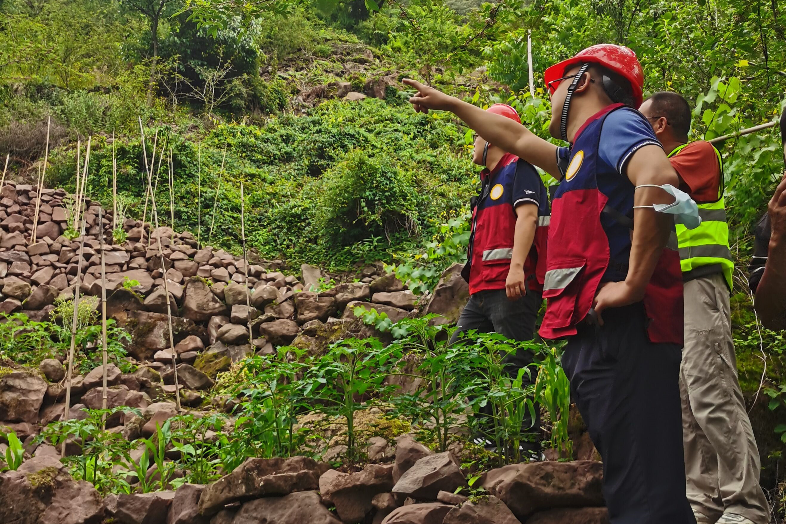 �۲��á�(�й���)���޹�˾����