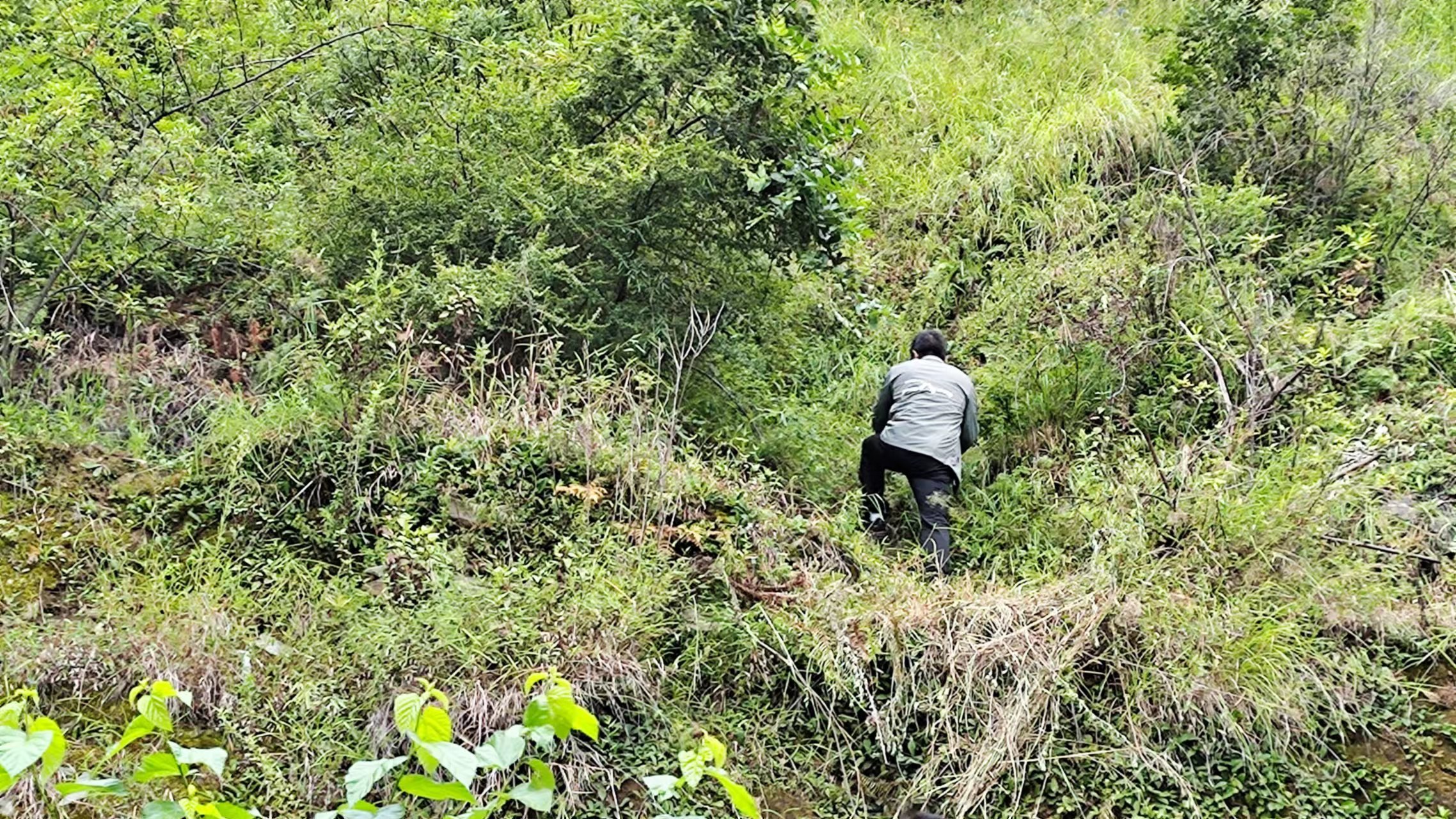 ����һ��ӿ�չ�򶨡�9.5���ض���������ص����ֺ�Ӧ���Ų�����