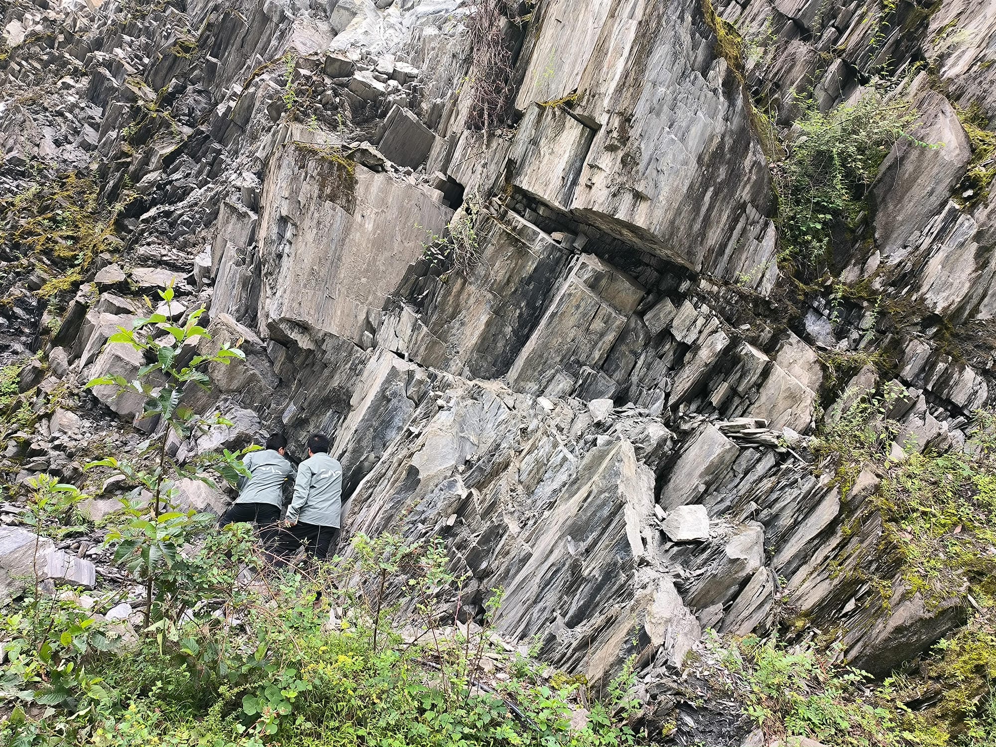 �۲��á�(�й���)���޹�˾����