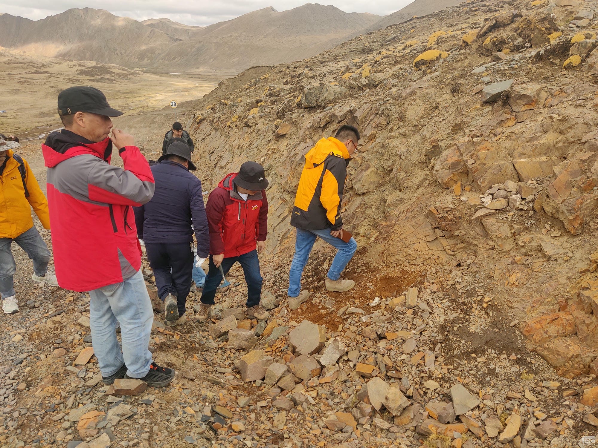 �۲��á�(�й���)���޹�˾����