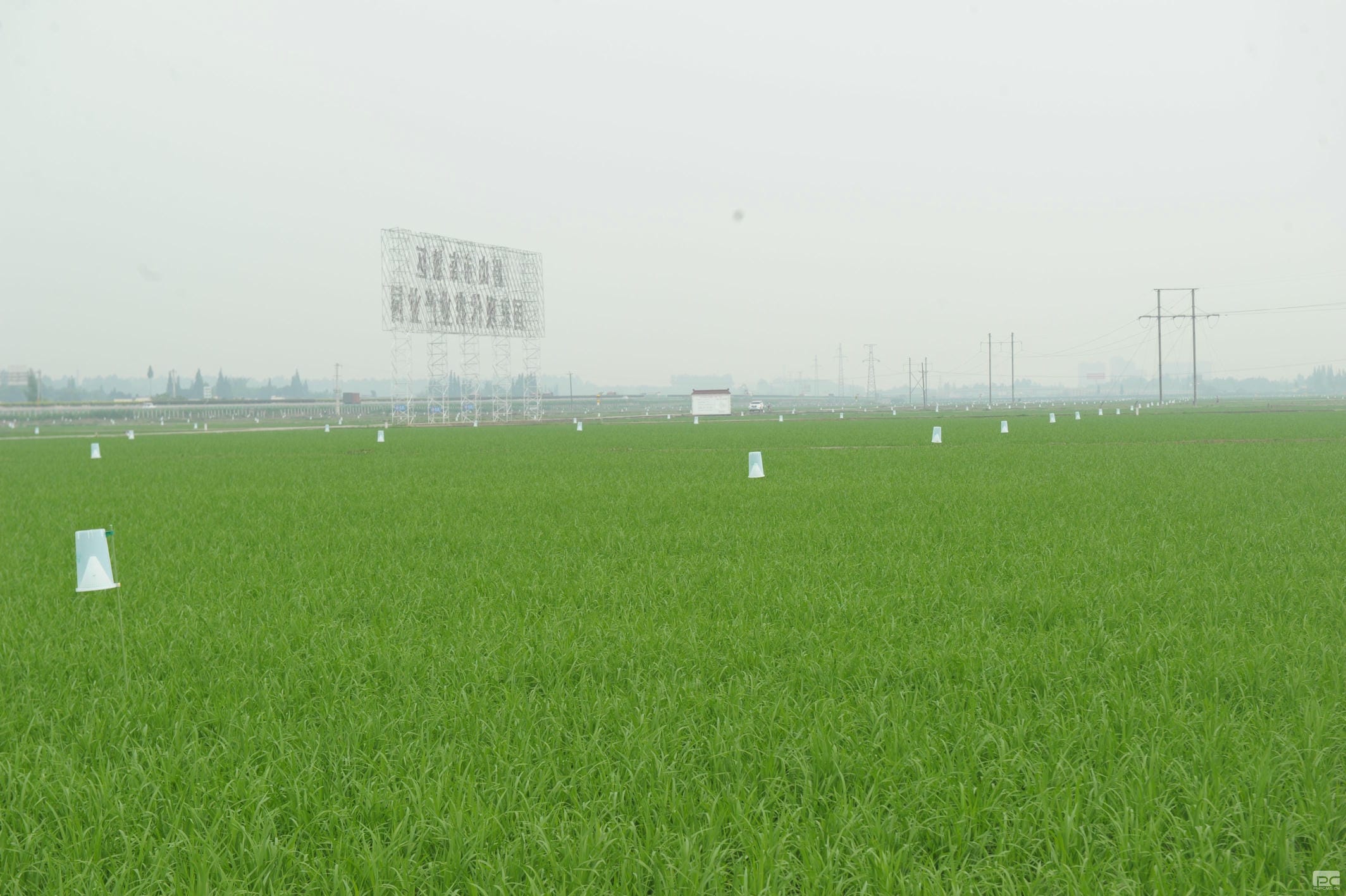 �۲��á�(�й���)���޹�˾����