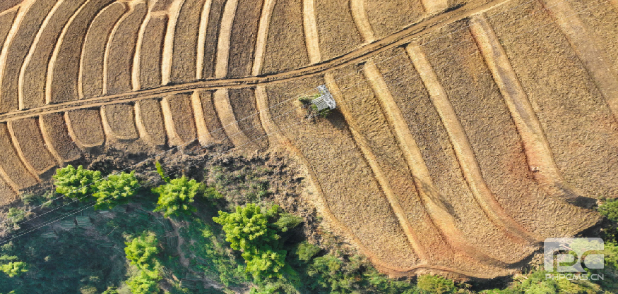 �������� ����ǰ��