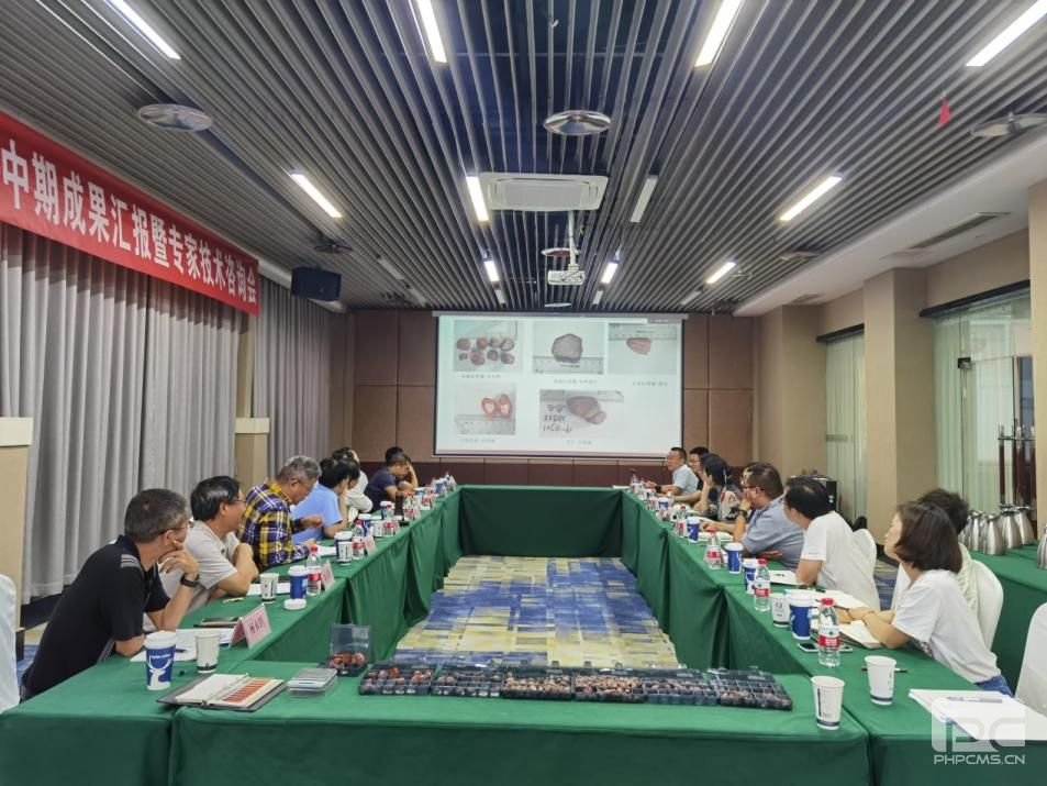 �۲��á�(�й���)���޹�˾����