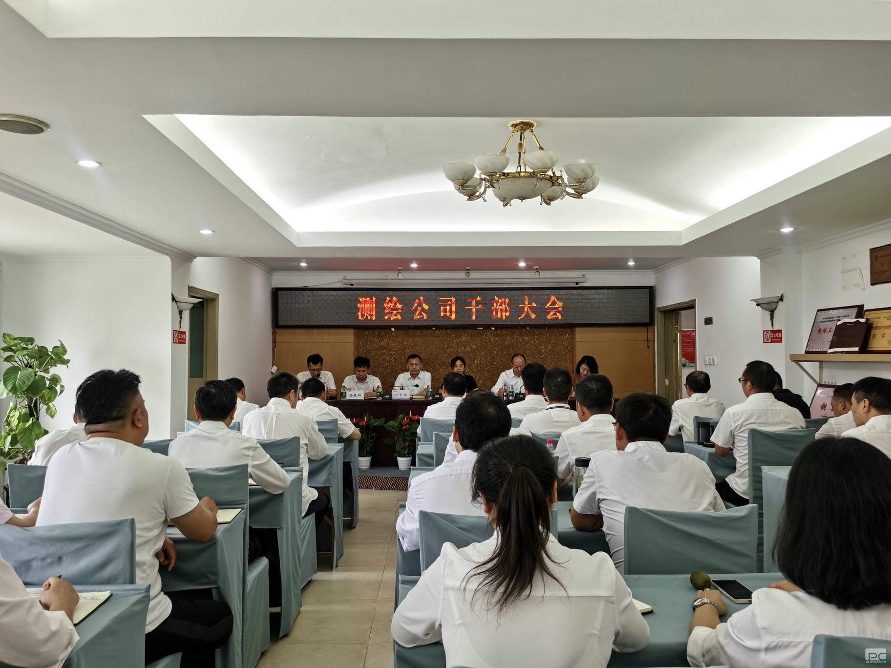 �����쵼��ϯ��湫˾�ɲ���Ტָ������ר�����������