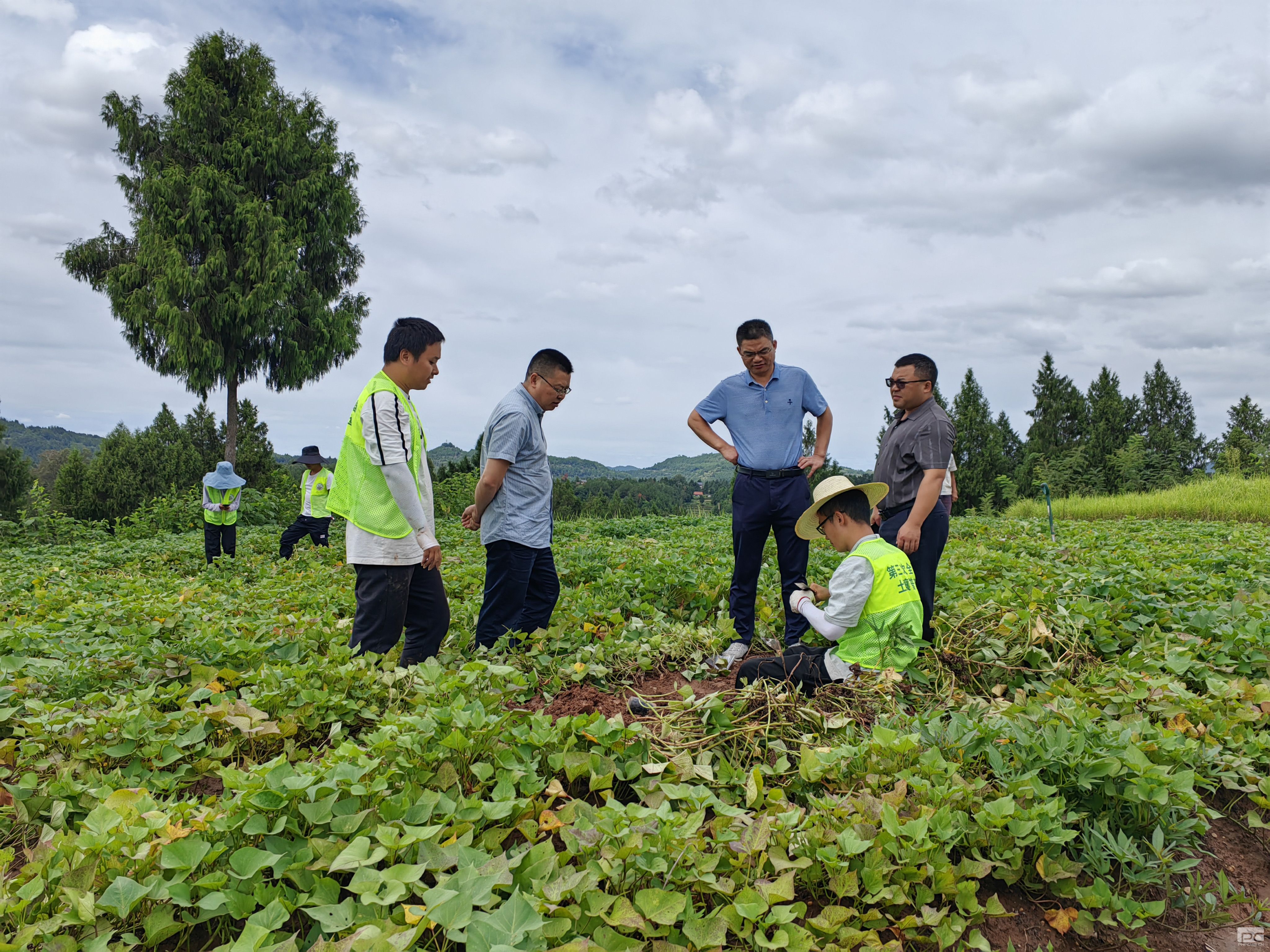 �۲��á�(�й���)���޹�˾����