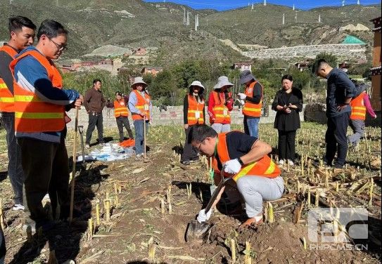 �۲��á�(�й���)���޹�˾����