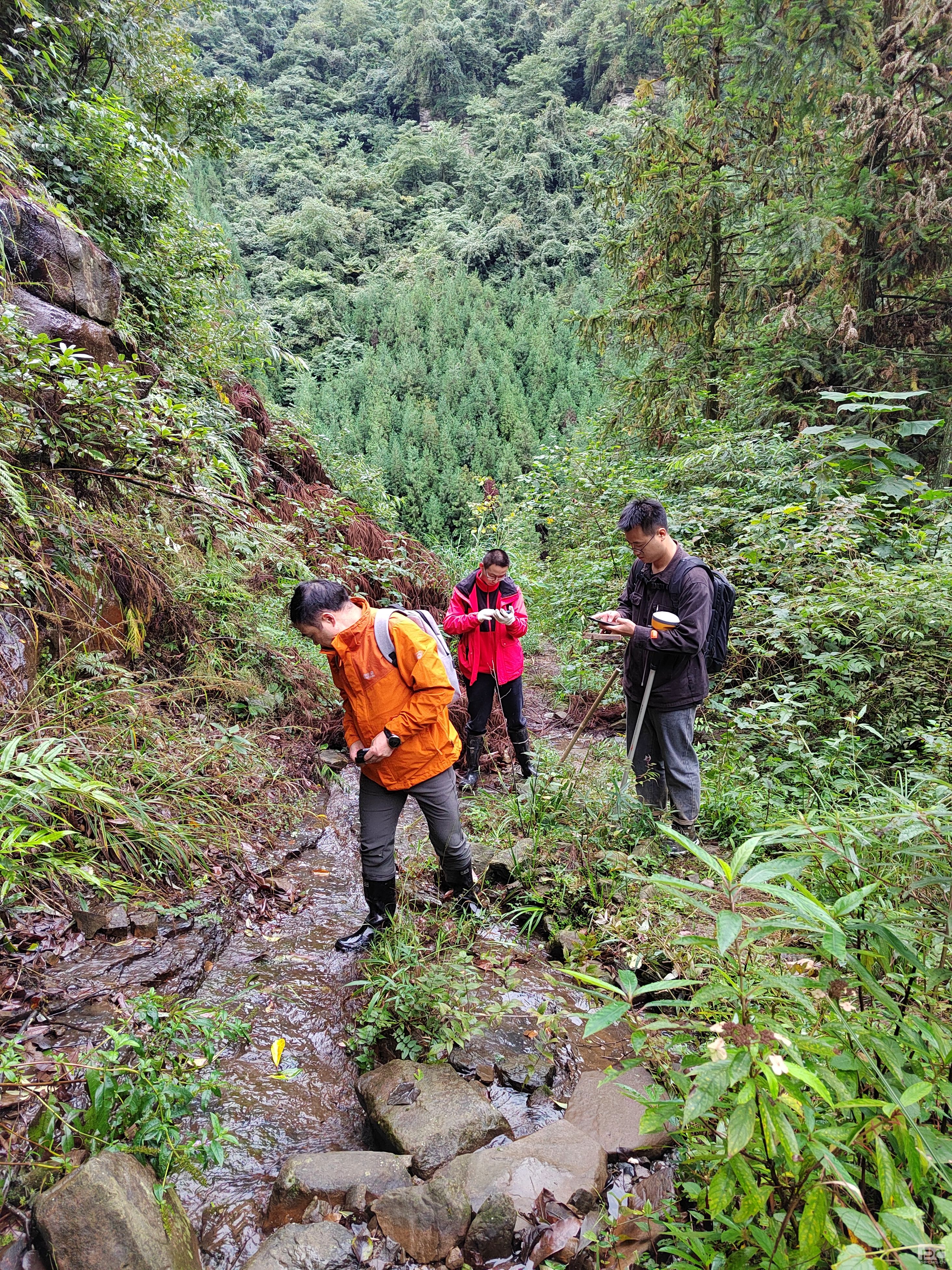 �۲��á�(�й���)���޹�˾����