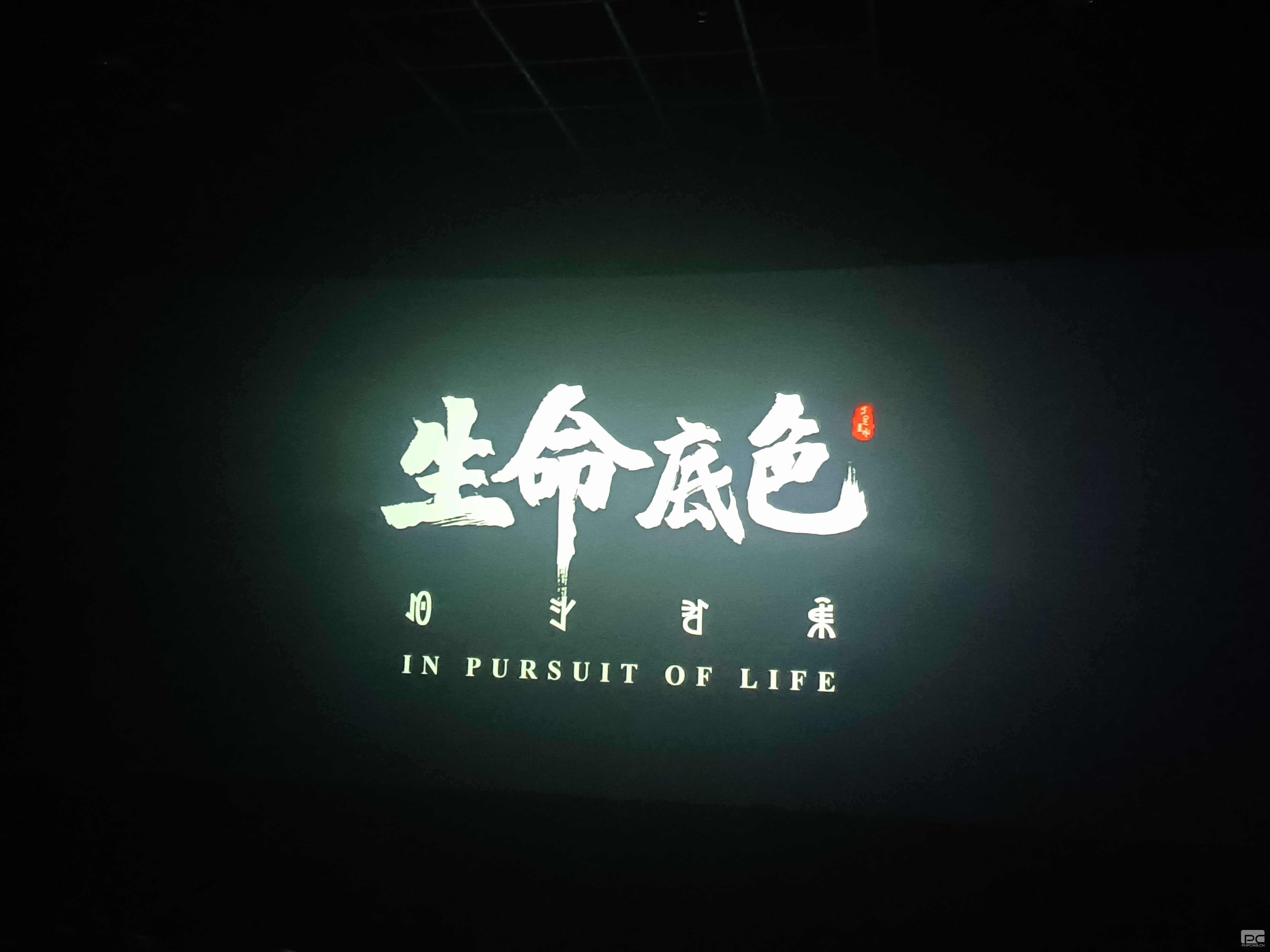 �ؿ����ʹ�˾��֯ԢĿӰϷ��������ɫ��