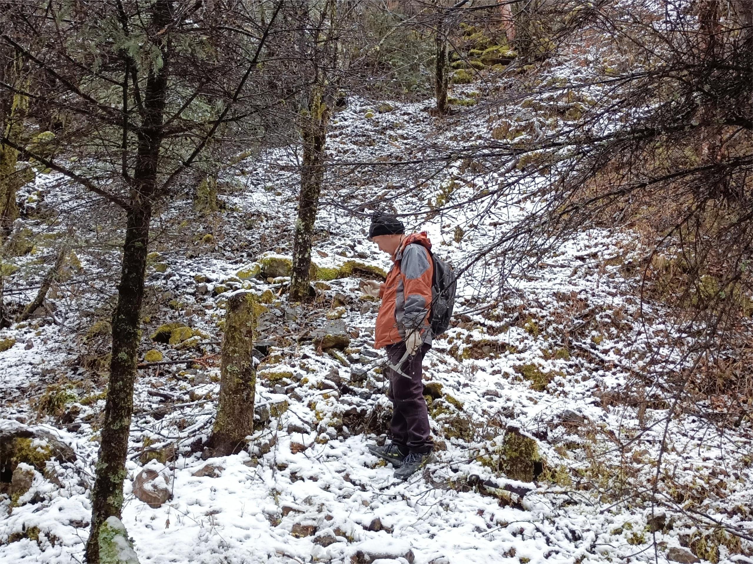 ��һ����Ա����һ�����ġ�������������Ա������ľ���ؿ�չ��һ���ҿ�ͻ��ս���ж�