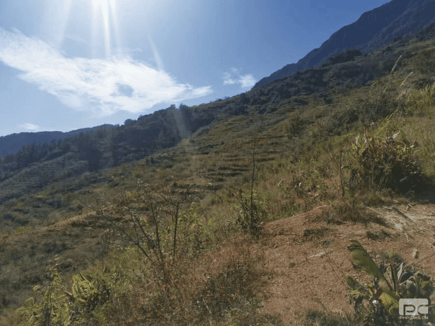 ������Ժ���������ص���Ŀ˳���ƽ�