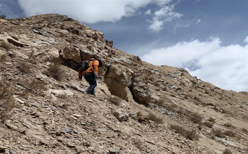 �����λ��Т������Ϊ������ɫ�󡪡���2023������ɽ���������Ŀ��Ұ������