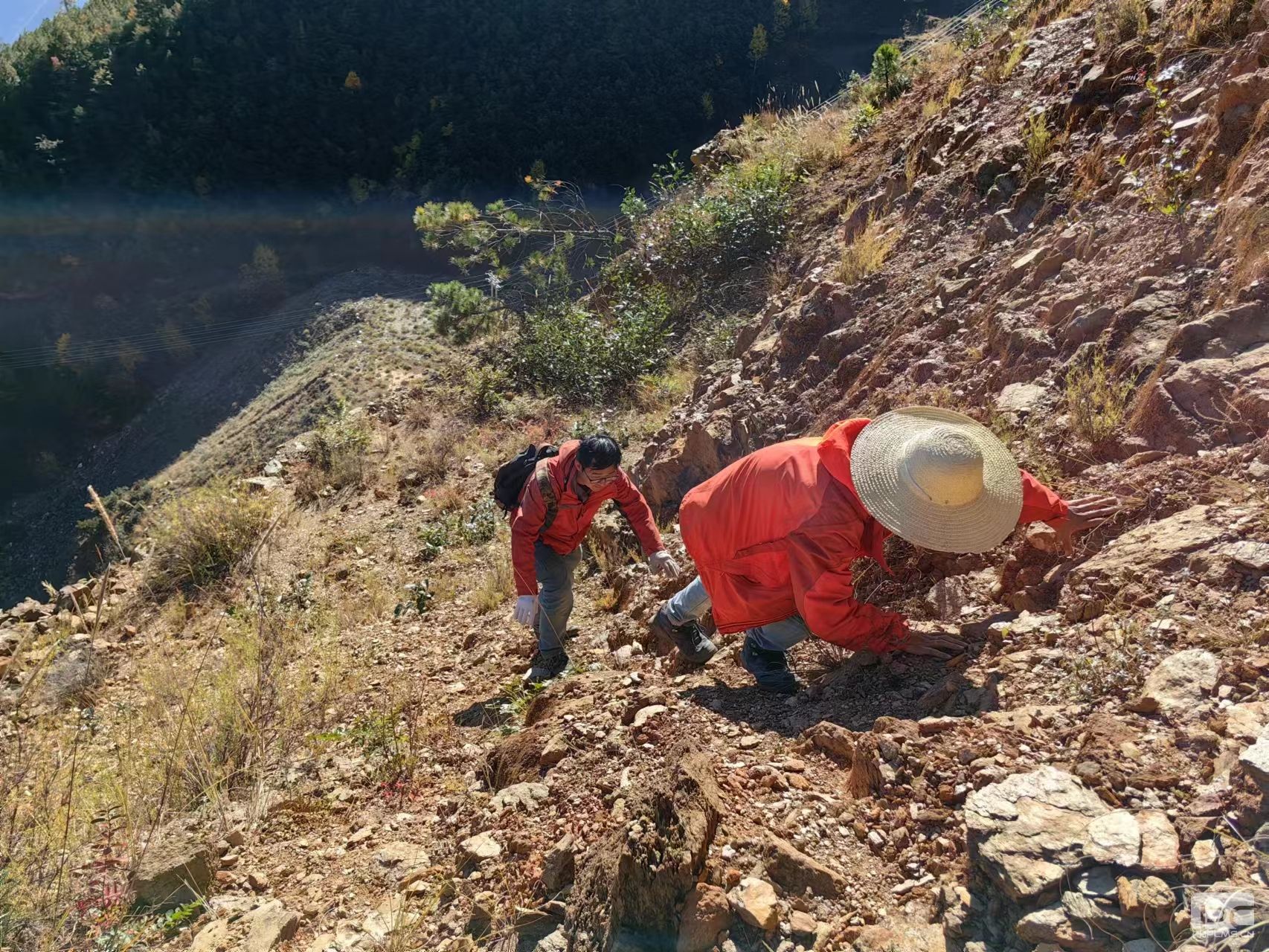 �۲��á�(�й���)���޹�˾����