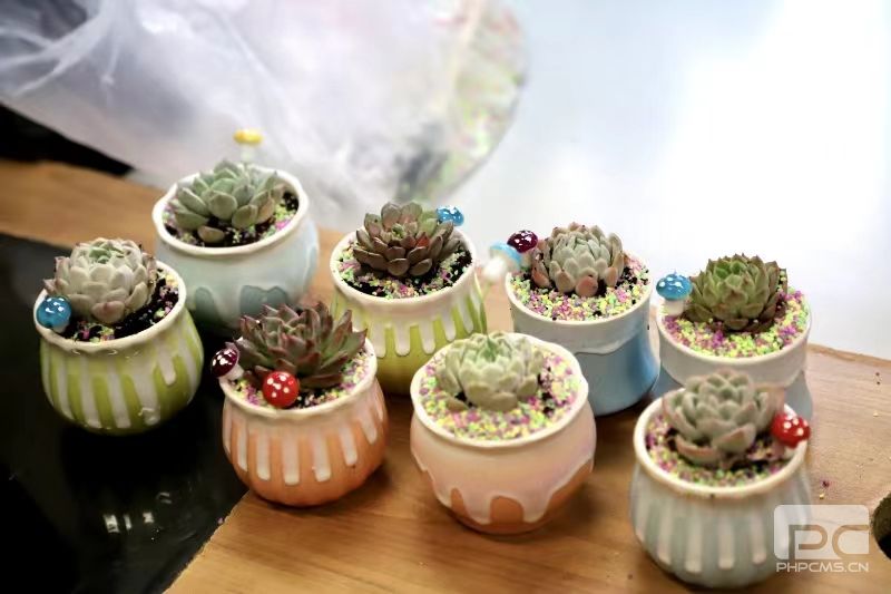 �۲��á�(�й���)���޹�˾����