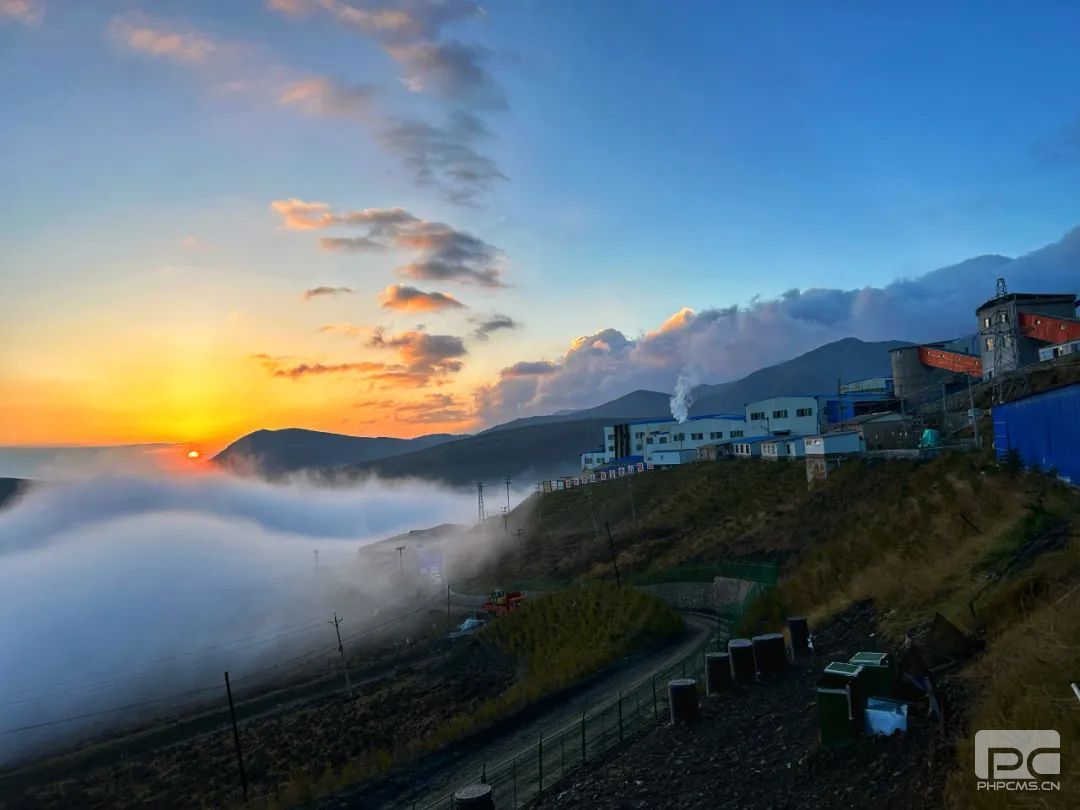 �۽����ľ�׼���� ��ץ��Ե���ų��ơ�����˾�ٿ�2024�������