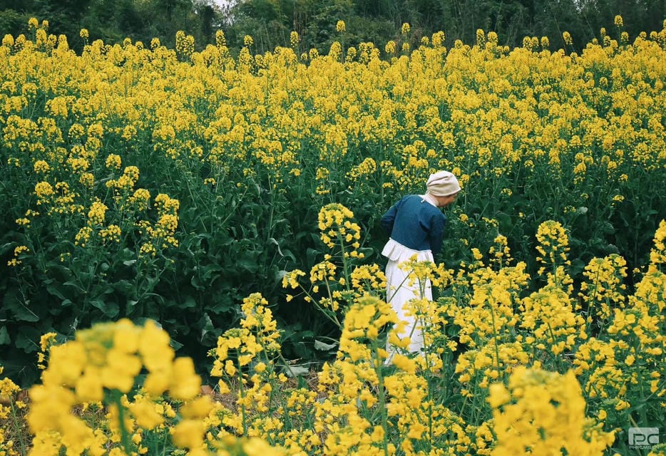 �۲��á�(�й���)���޹�˾����