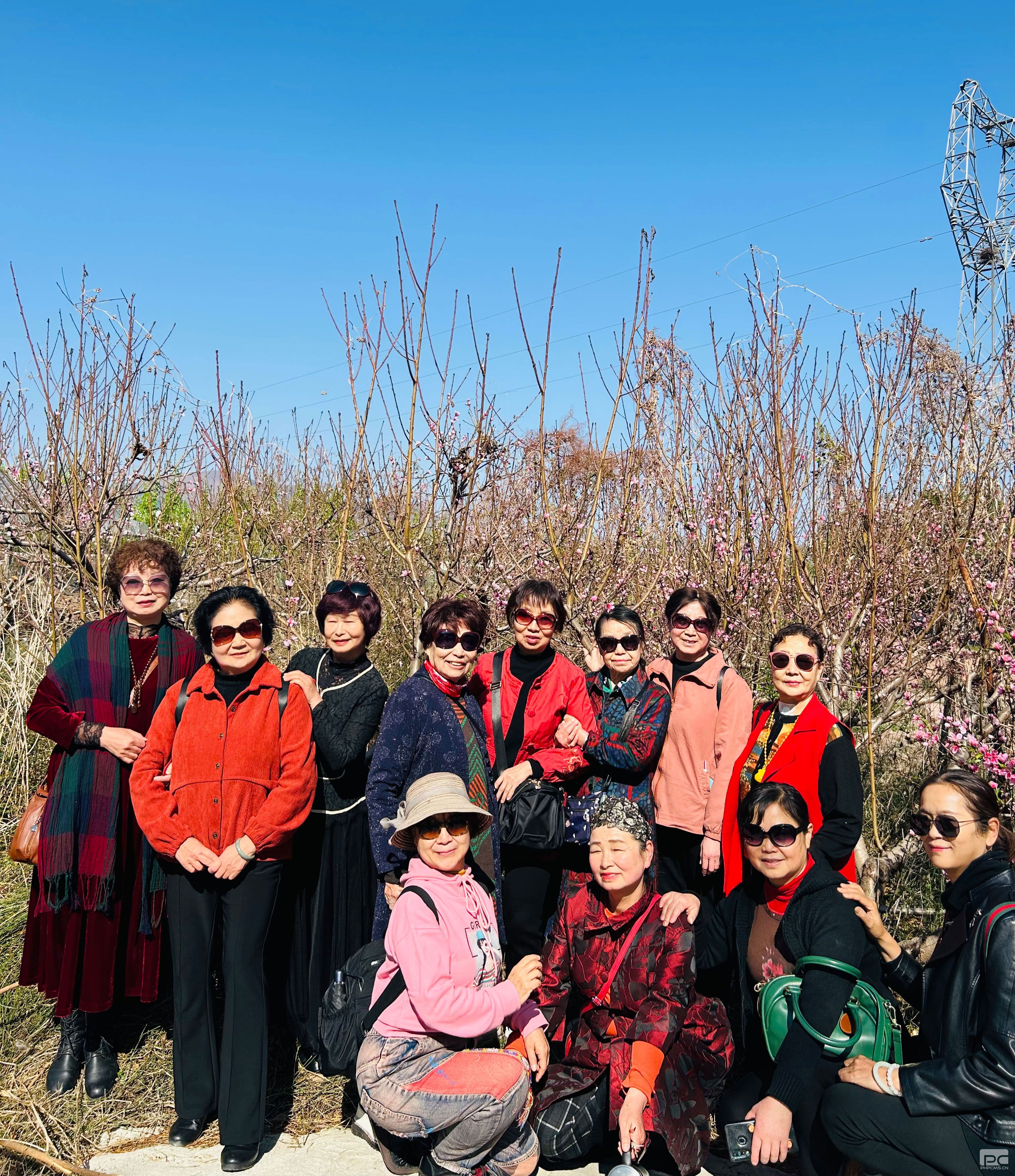 ¾Û²ÊÌá¤(ÖйúÓÎ)ÓÐÏÞ¹«Ë¾¹ÙÍø