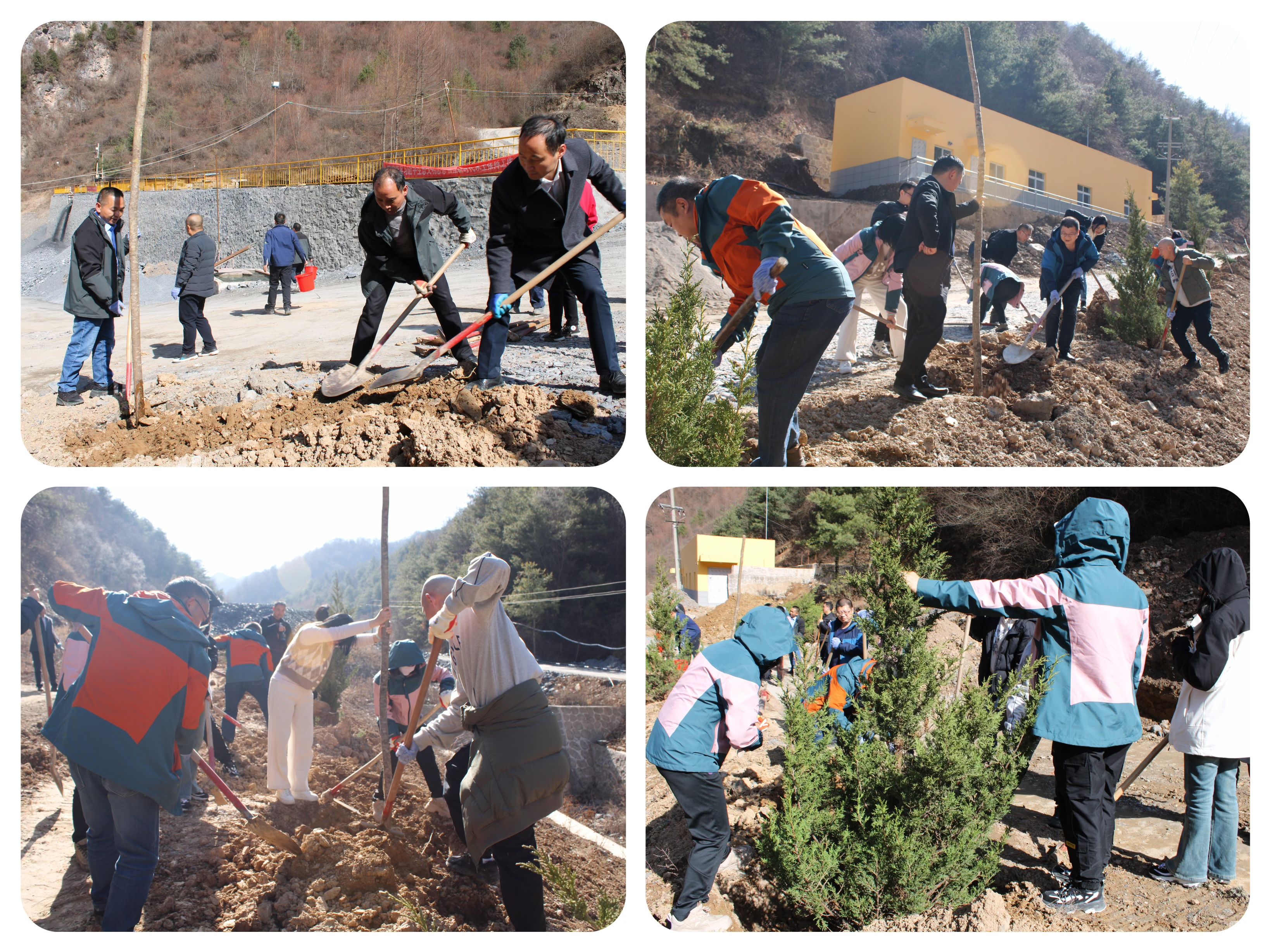 ��ֲ�����������������򡪡���˳��ҵ��չ2024�´���ɫ��ֲ���˶�