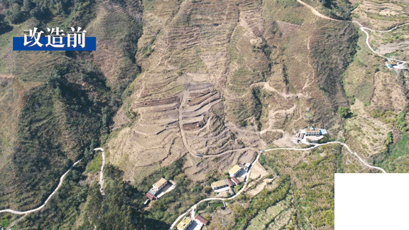 �۲��á�(�й���)���޹�˾����