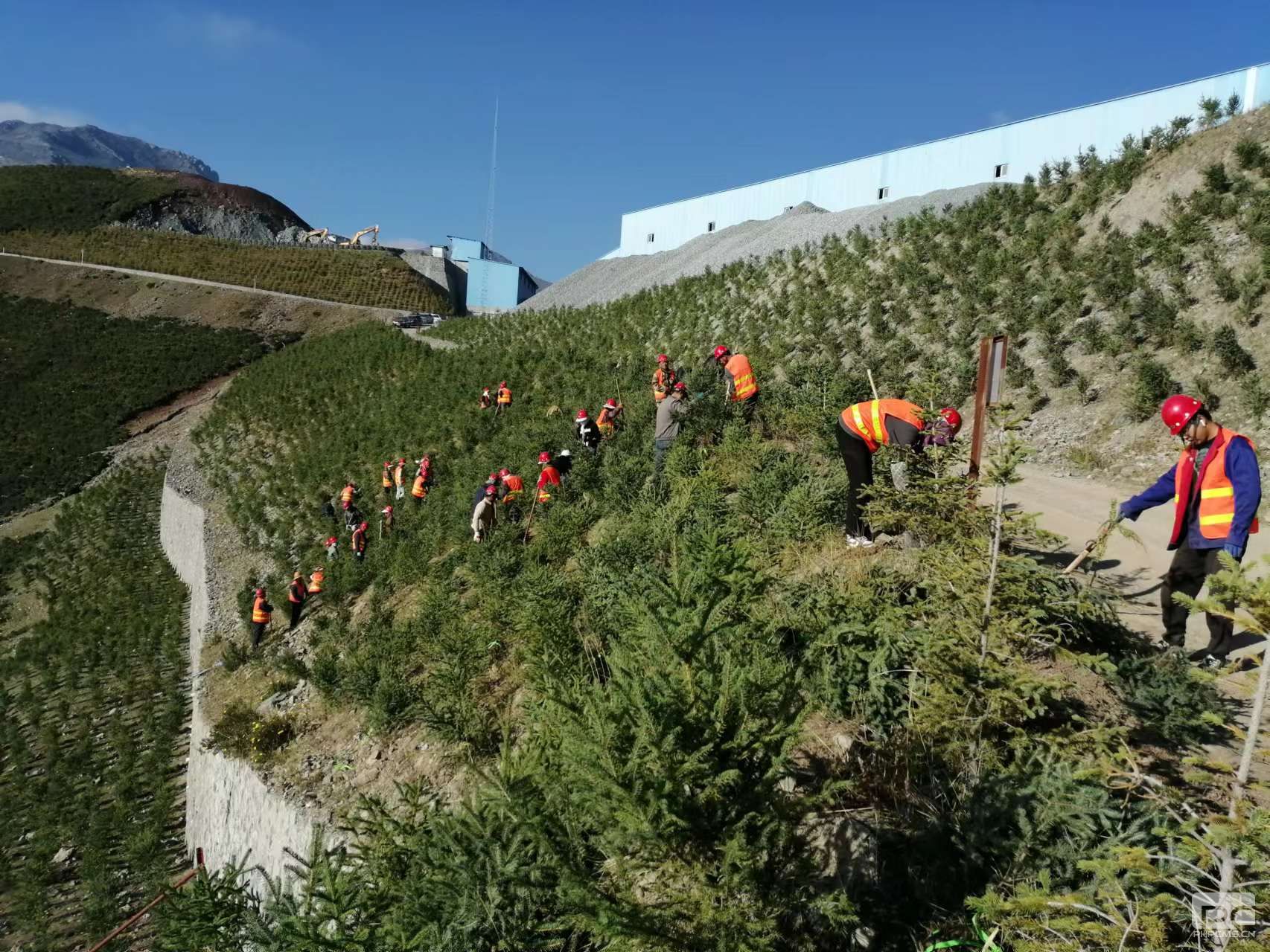 ������ح����˳֮����������ɫ��ɽ����