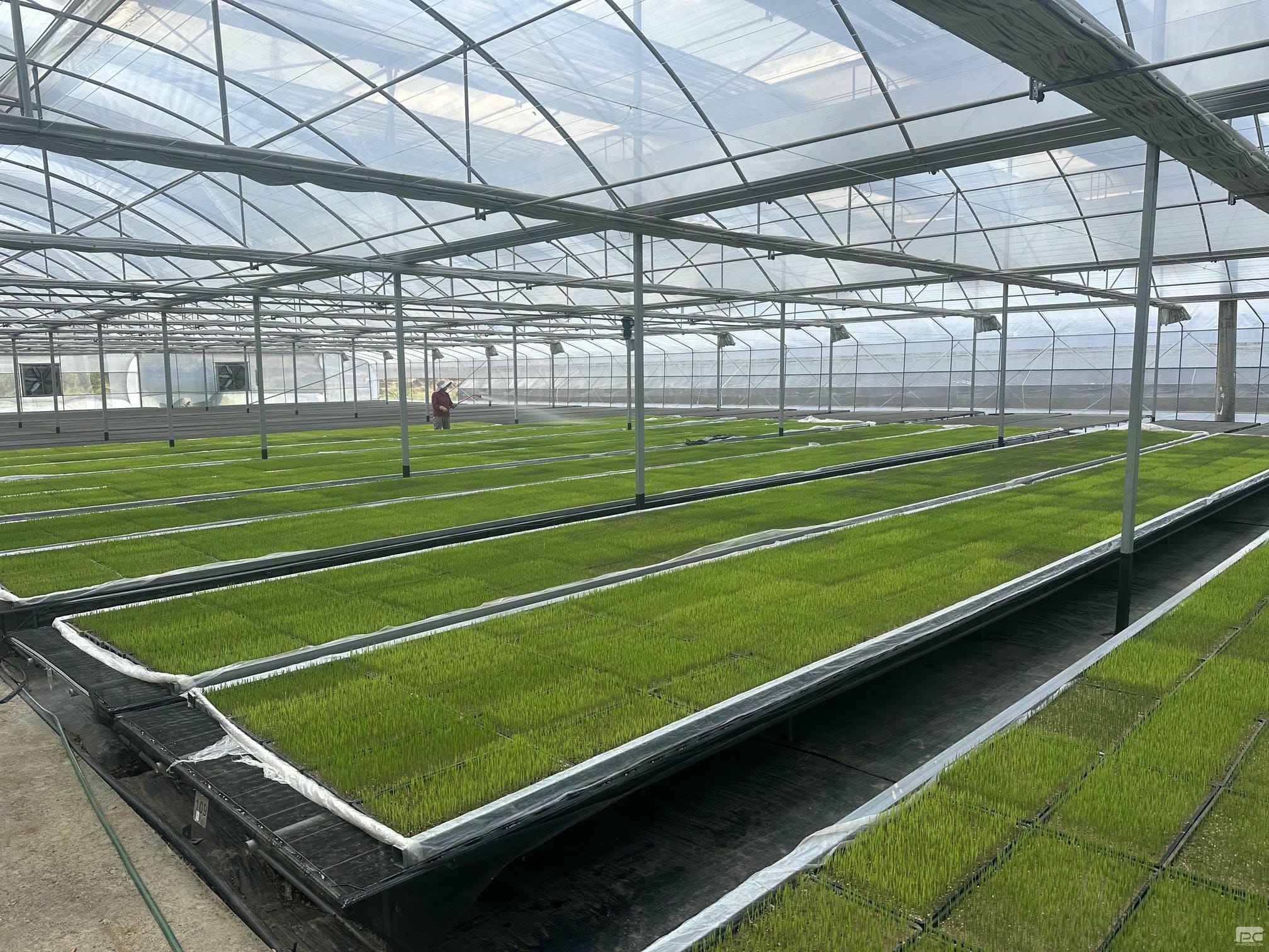 �۲��á�(�й���)���޹�˾����