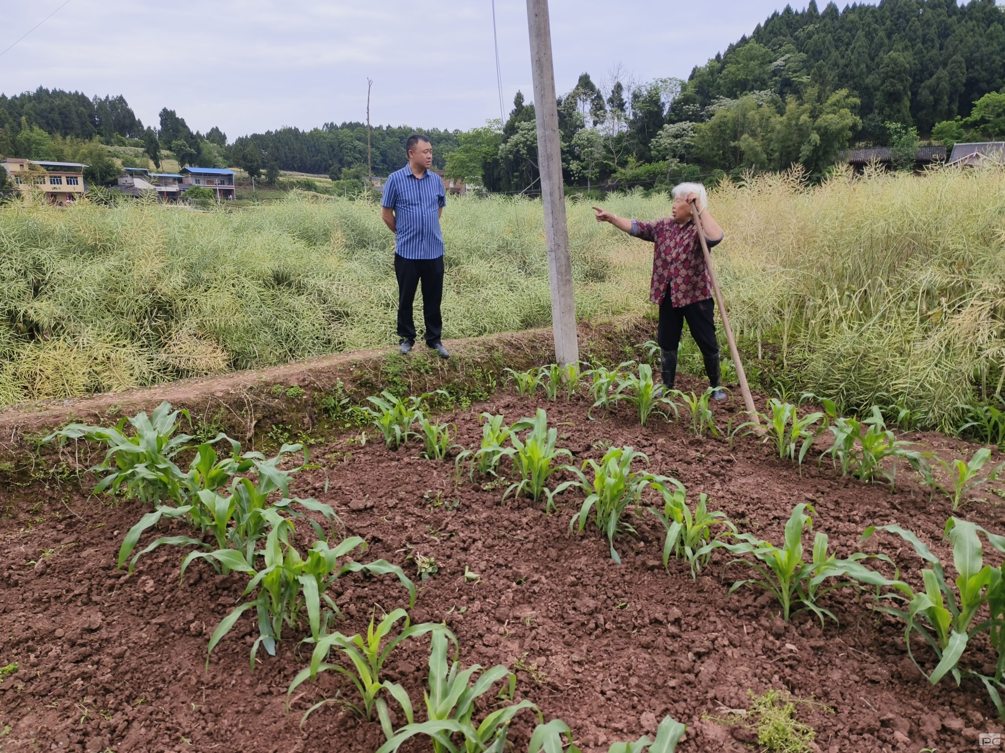 �۲��á�(�й���)���޹�˾����