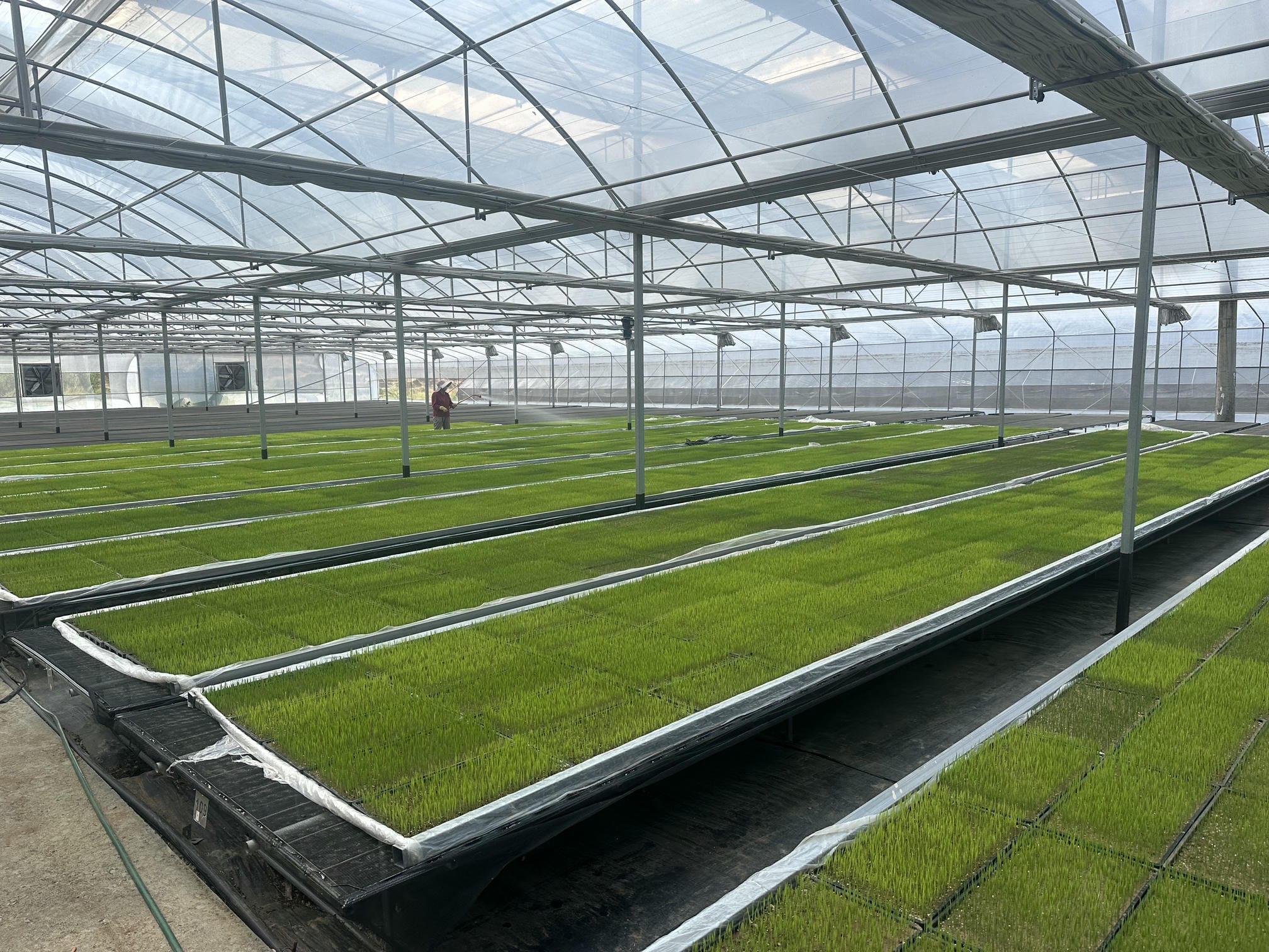 坚守一线 抢抓农时 助力新时代更高水平的“天府粮仓”建设