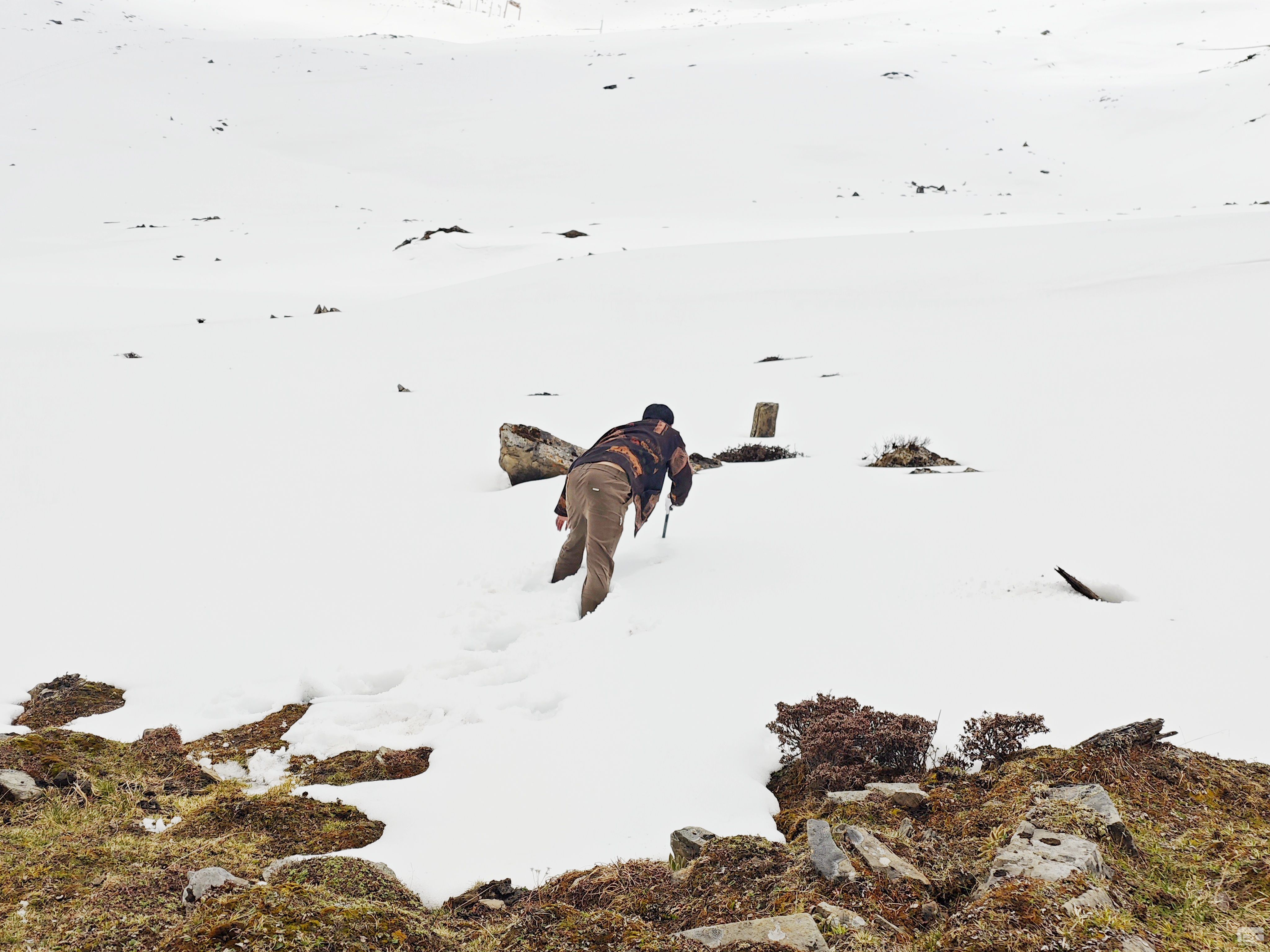 ��ѩ�е�ǰ���� ��������Ч�ʹ�С����������ǵ��ղ�ά������С��