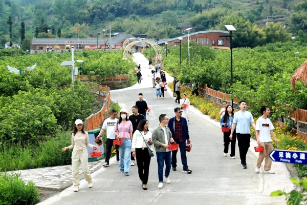 ���֮��|������Ⱥ�幤ҵ����  ������ҵ����������