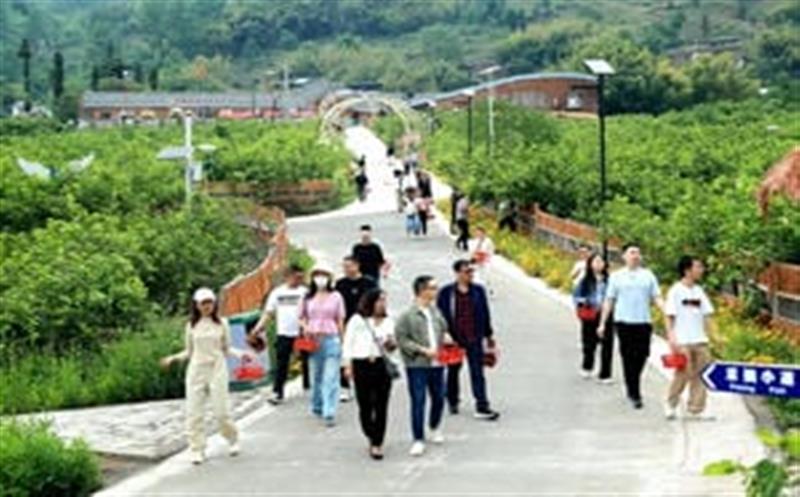 ���֮��|������Ⱥ�幤ҵ����  ������ҵ����������