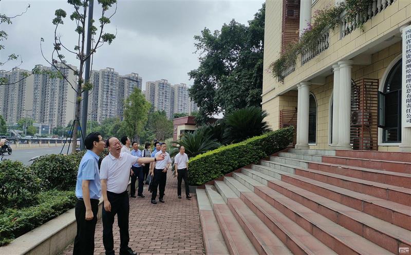 �����쵼����湫˾��չ����