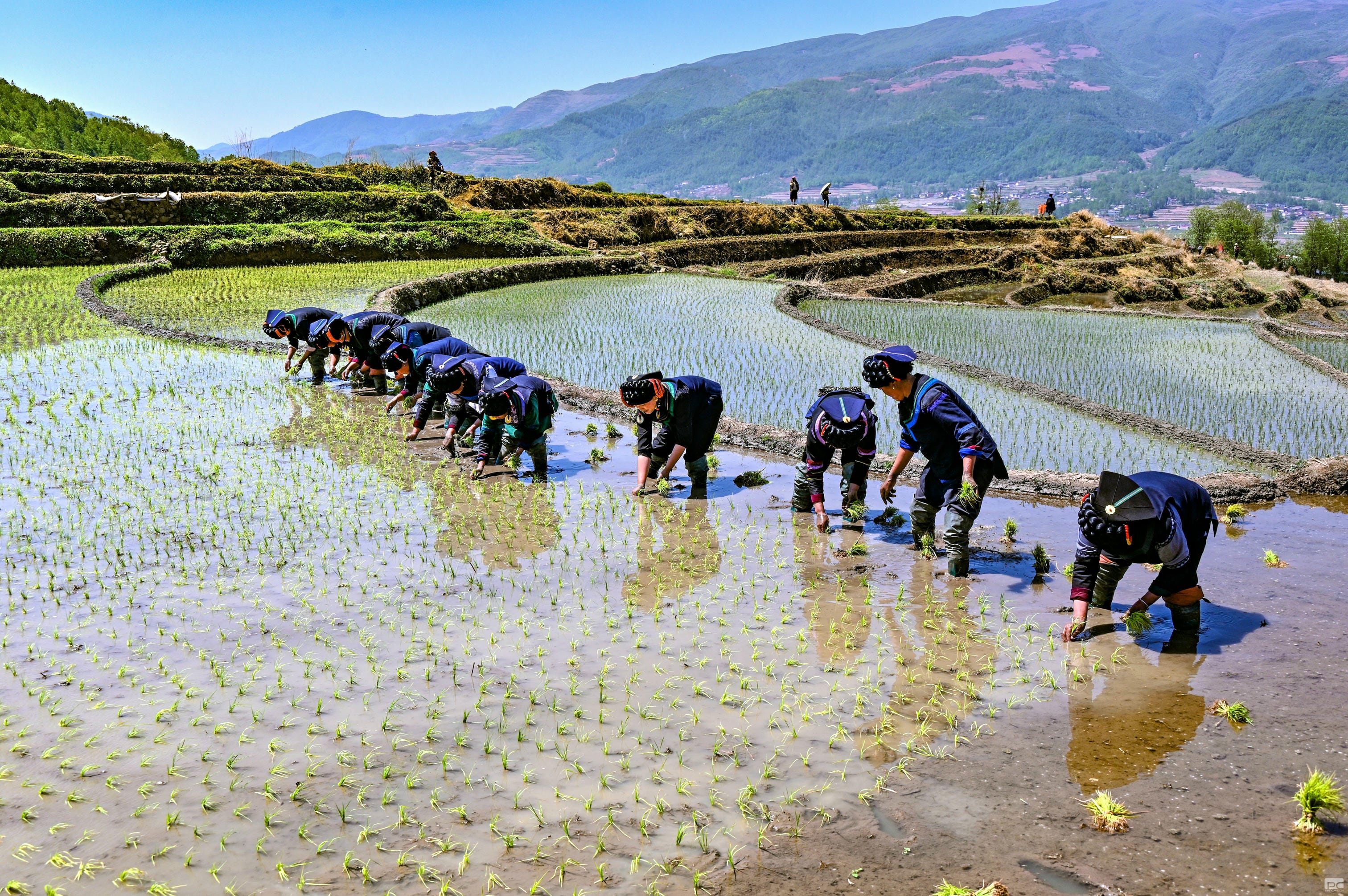 �۲��á�(�й���)���޹�˾����