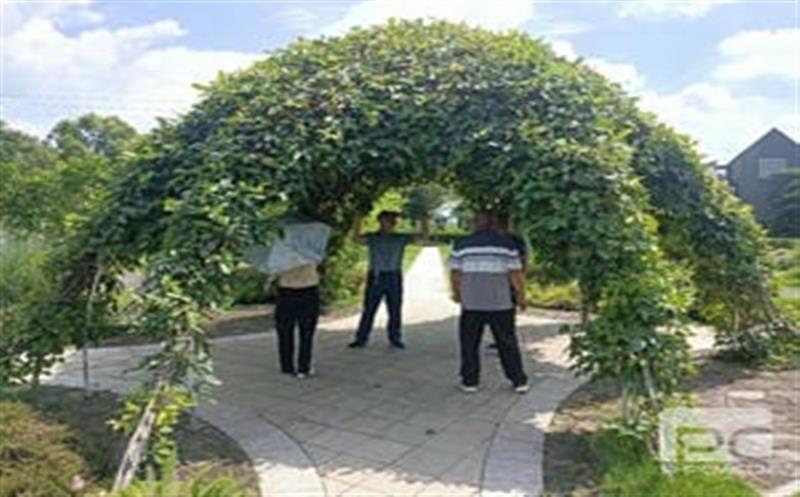 ��ҵ���|������̽פ��ɲ���֯������Ӽ��¸����������ѧϰ����  ������ҵ����������