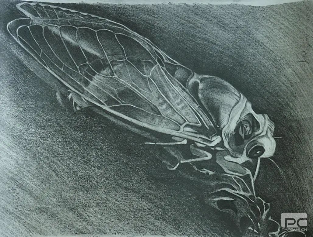 ϲѶ���������黭��Ʒ��ȫʡ��Ȼ�۲���ϵͳ�׽��Ļ��ڻ�