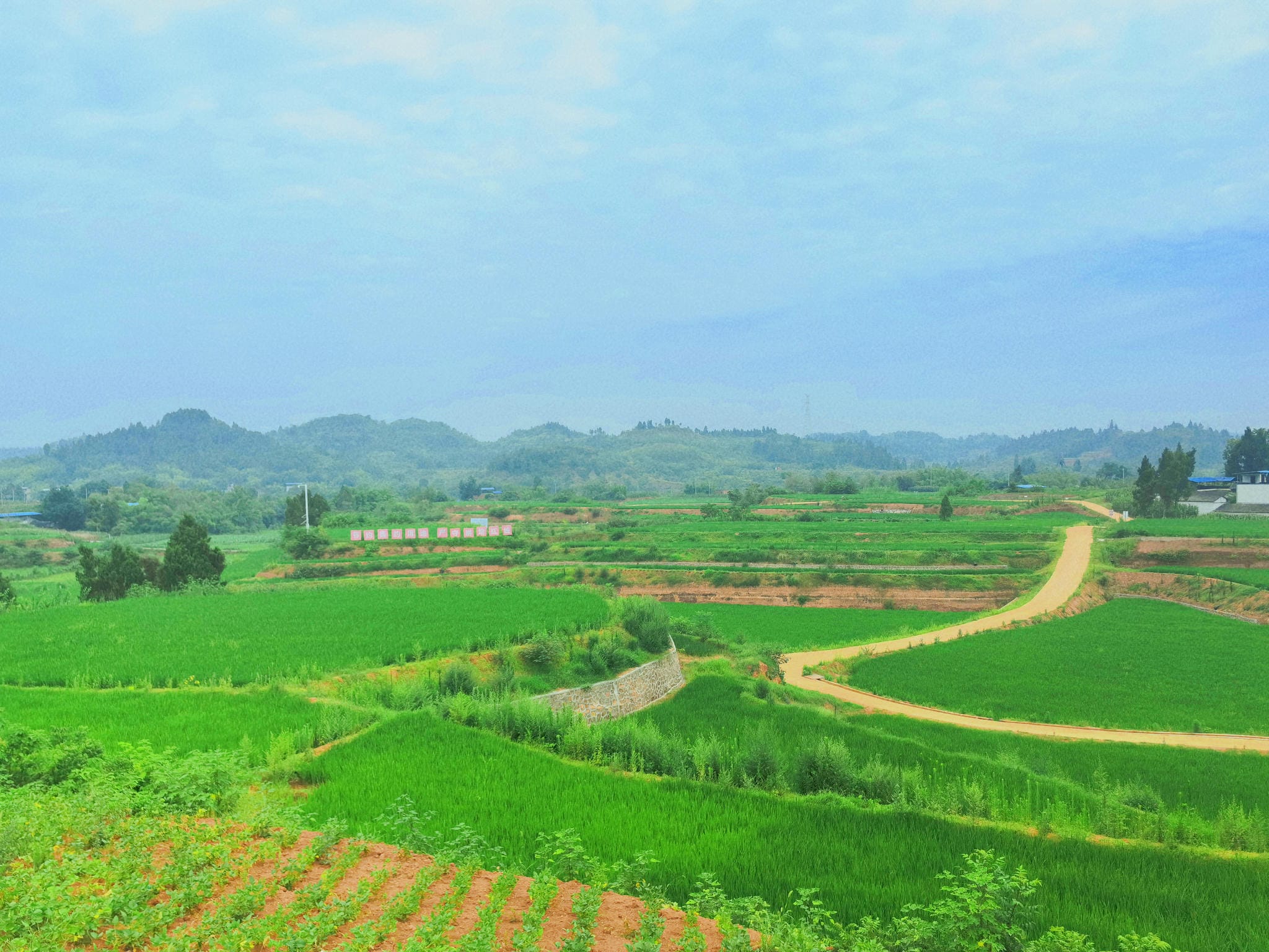 ���η�Ѵ���ֺ�����������˫���ء�