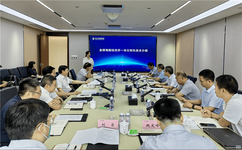 ��˵ؿ���˾���½���̩��Ȼ���ɷ����޹�˾��̸����