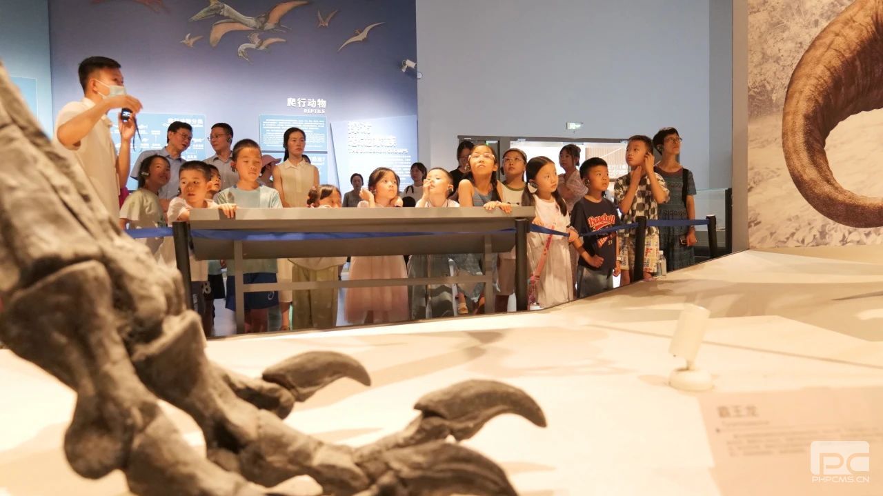 �۲��á�(�й���)���޹�˾����