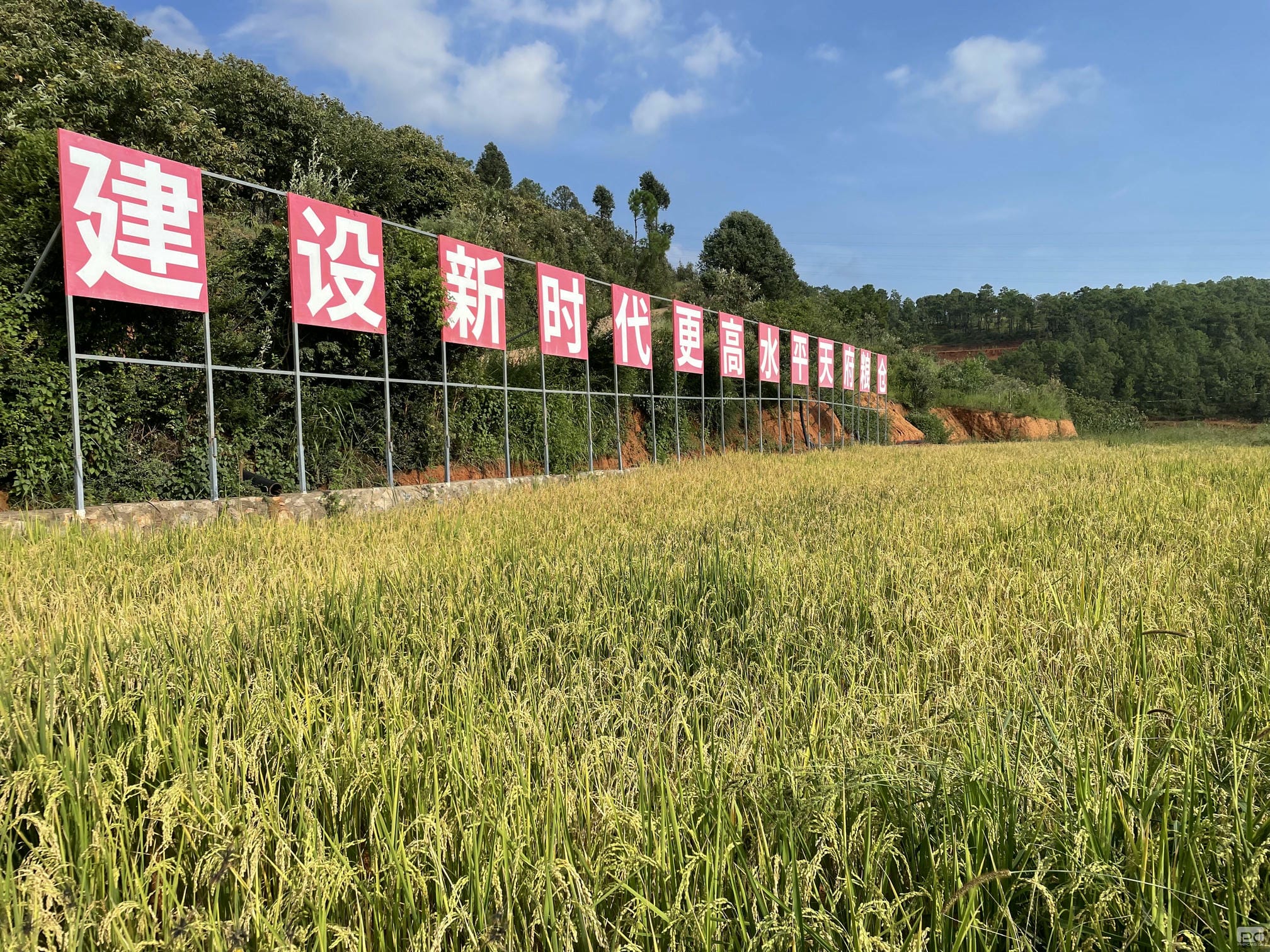 �۲��á�(�й���)���޹�˾����