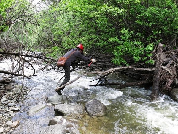 �۲��á�(�й���)���޹�˾����