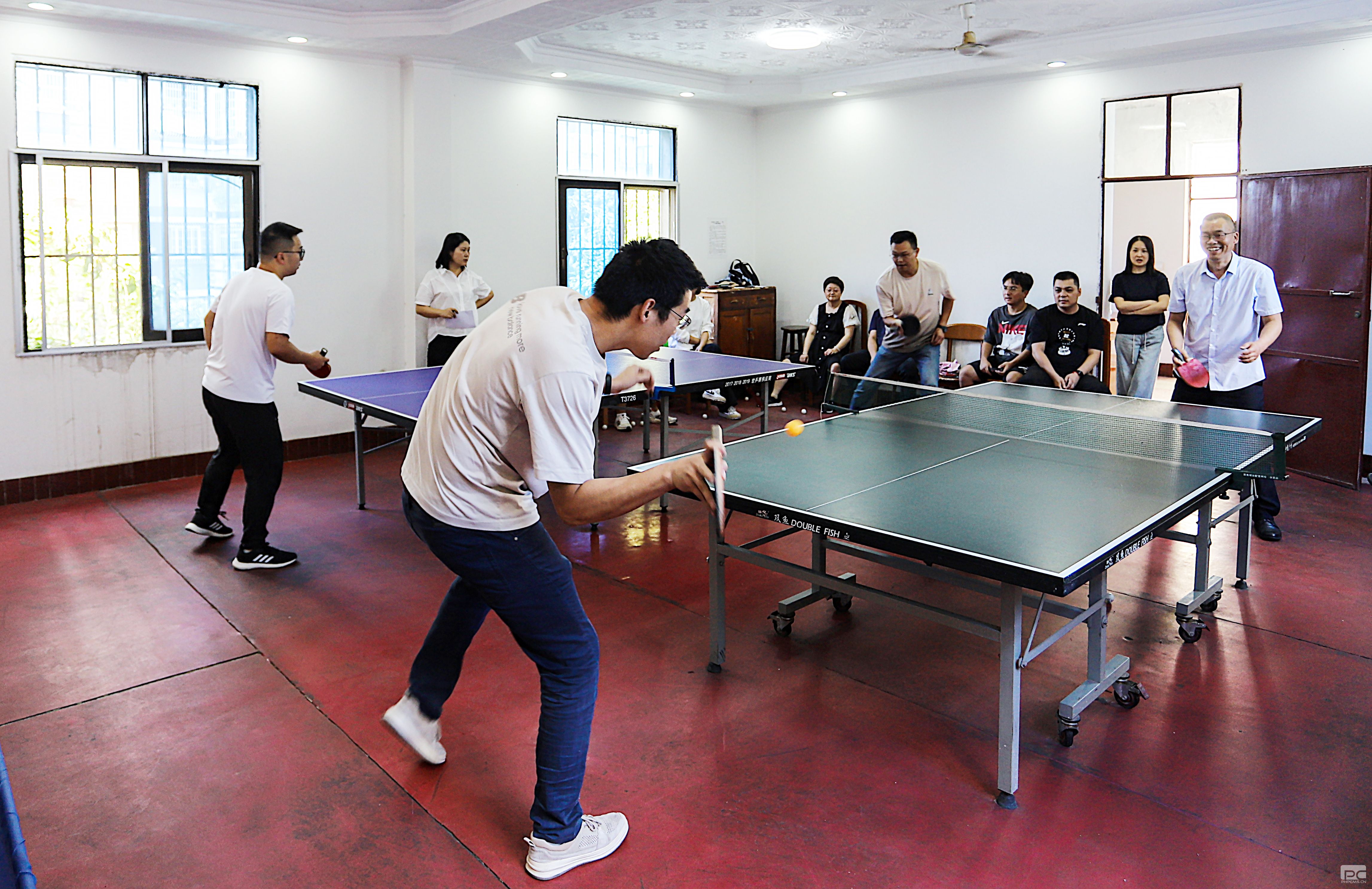 ������˾�ٰ�ƹ����ѡ�ν���