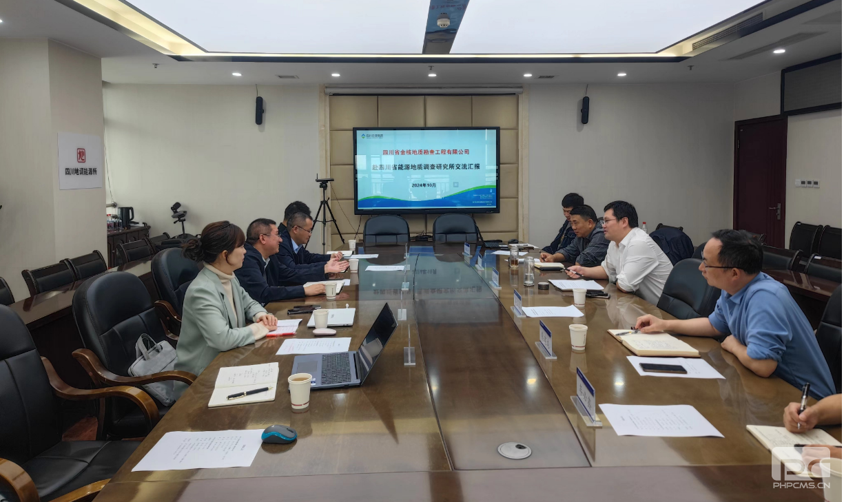 �󿱼��Ž�˵ؿ���˾���Ĵ�ʡ��Դ�����Ӳ��о�����̸����